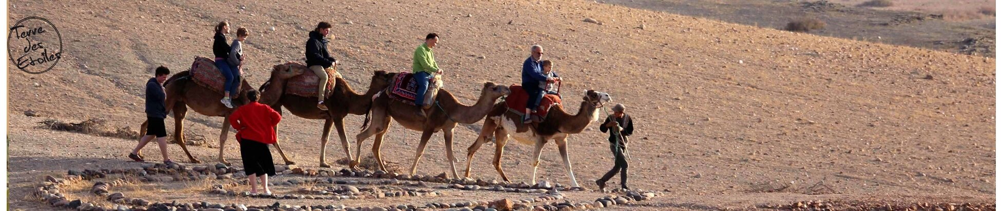 Camel ride desert d'Agafay