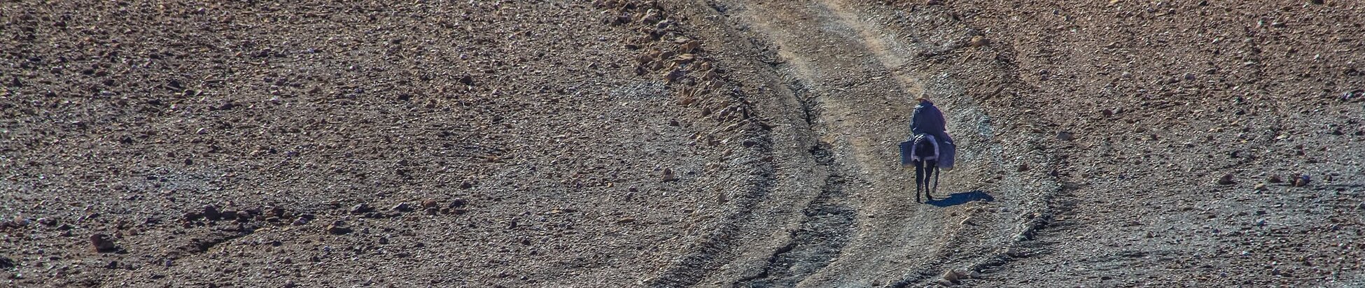 Desert